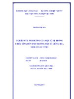 nghiên cứu ảnh hưởng của một số hệ thống chiếu sáng đến sinh trưởng một số giống hoa nuôi cấy in vitro