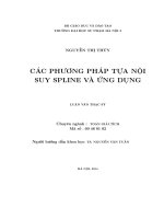 Các phương pháp tựa nội suy spline và ứng dụng