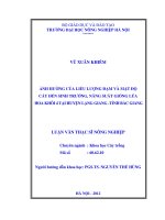 Ảnh hưởng của liều lượng đạm và mật độ cấy đến sinh trưởng, năng suất giống lúa hoa khôi 4 tại huyện lạng giang   tỉnh bắc giang