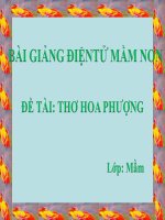 Bài giảng điện tử mầm non lớp Mầm đề tài Thơ hoa phượng