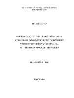 Nghiên cứu sự thay đổi của hệ thống enzym cytochrom p450 ở người tiếp xúc nghề nghiệp với trinitrotoluen và tác dụng của naturenztrên động vật thực n