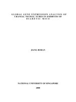 Global gene expression analysis of cranial neural tubes in embryos of diabetic mice 