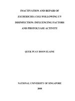 Inactivation and repair of escherichia coli following UV disinfection influencing factors and photolyase activity 