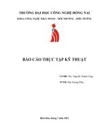Báo cáo thực tập kỹ thuật tại công ty cổ phần chăn nuôi c p việt nam   đào hoàng phúc