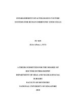 Establishment of autologous culture systems for human embryonic stem cells 