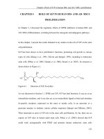 Development of sphingosine kinase (SPHK) inhibitors and the role of sphingolipids in adult stem cell proliferation and differentiation 4 