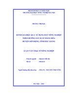 Đánh giá hiệu quả sử dụng đất nông nghiệp theo hướng sản xuất hàng hoá huyện sơn động, tỉnh bắc giang