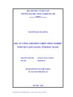 Đầu tư công cho phát triển nông nghiệp ở huyện lạng giang, tỉnh bắc giang