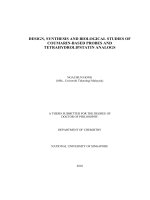 Design, synthesis and biological studies of coumarin based probes and tetrahydrolipstatin analogs 1 