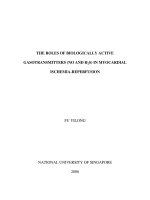 The roles of biologically active gasotransmitters (NO and h2s) in myocardial ischemia reperfusion 
