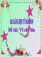 Bài giảng điện tử mầm non lớp Chồi đề tài Vẽ cây lúa