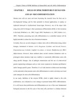 Development of sphingosine kinase (SPHK) inhibitors and the role of sphingolipids in adult stem cell proliferation and differentiation 3 