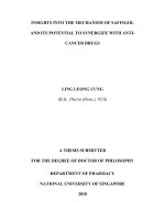 Insights into the mechanism of safingol and its potential to synergize with anti cancer drugs 