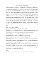 Bài toán trồng cây lớp 5