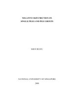 Negative skin friction on single piles and pile groups 