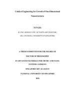 Catalyst engineering for growth of one dimensional nanostructures 