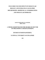 Excluded volume effects in molecular biology and extracellular matrix biochemistry  biophysical considerations and molecular modeling 