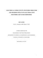 Electrical conductivity switching behavior and memory effects in electroactive polymers and nanocomposites 
