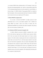 Proline rich acidic protein 1 in life and death r6 