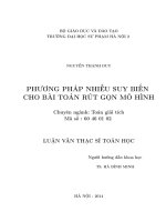Phương pháp nhiễu suy biến cho bài toán rút gọn mô hình