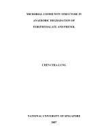 Microbial community structure in anaerobic degradation of terephthalate and phenol 1 