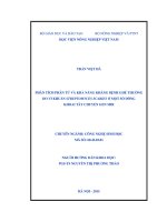 phân tích phân tử và khả năng kháng bệnh ghẻ thường do vi khuẩn streptomyces scabies ở một số dòng khoai tây chuyển gen mir