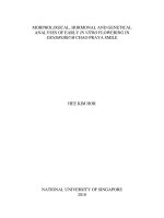 Morphological hormonal and genetical analyses of early in vitro flowering in dendrobium chao praya smile 