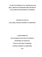 Role of promyelocytic leukemia (PML) and small ubiquitin like modifier (SUMO) proteins in alternative lengthening of telomeres 