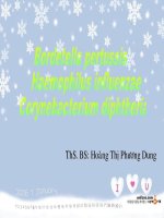 Bordetella pertussis  haemophilus influenzae diphtheria 