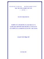 nghiên cứu ảnh hưởng của mật độ cấy và lượng đạm bón đến sinh trưởng và năng suất của giống lúa lai hkt99 tại tân yên – bắc giang