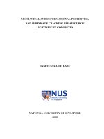 Mechanical and deformational properties, and shrinkage cracking behaviour of lightweight concretes 