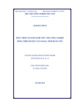PHÁT TRIỂN NGÀNH NGHỀ TIỂU THỦ CÔNG NGHIỆP NÔNG THÔN HUYỆN văn GIANG, TỈNH HƯNG yên