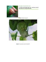 Trắc nghiệm vui: Bạn 