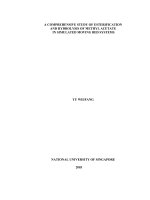 A comprehensive study of esterification and hydrolysis of methyl acetate in simulated moving bed systems