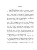Hoạt động của viện kiểm sát trong điều tra vụ án hình sự theo yêu cầu cải cách tư pháp