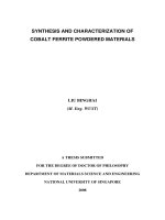 Synthesis and characterization of cobalt ferrite powdered materials 