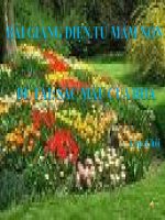 Bài giảng điện tử mầm non lớp Chồi đề tài Sắc màu của hoa