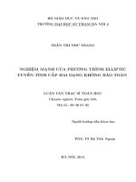 Nghiệm mạnh của phương trình elliptic tuyến tính cấp hai dạng không bảo toàn