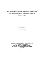 The role of adenosine, adenosine receptors and transporters in the modulation of cell death 