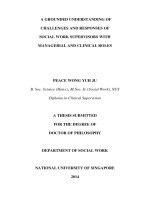 A grounded understanding of challenges and responses of social work supervisors with managerial and clinical roles