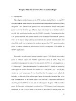 Integrated platinum carbon nanotube based electrocatalyst for high efficiency proton exchange membrane fuel cells 3 