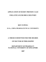Application of HCRSV protein cage for anticancer drug delivery