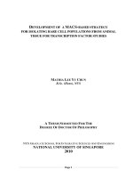 Development of a MACS based strategy for isolating rare cell populations from animal tissue for transcription factor studies 