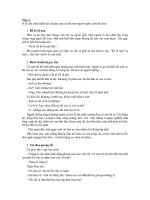 Truyện tiếu lâm