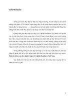 Phân tích báo cáo tài chính công ty cổ phần hanfimex việt nam