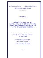 nghiên cứu khảo sát điều kiện chuyển gen tạo rễ tơ thông qua vi khuẩn agrobacterium rhizogenes ở sâm ngọc linh (panax vietnamensis ha et grushv)