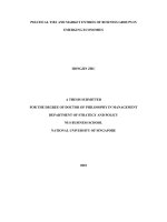 Political ties and market entries of business groups in emerging economies 