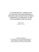 A systems biology approach to elucidating the frequency decoding mechanism governing differential mammalian gonadotropin subunit gene expression 