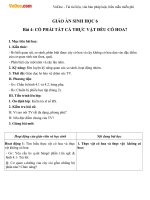 Giáo án sinh học 6 bài có phải tất cả thực vật đều có hoa không