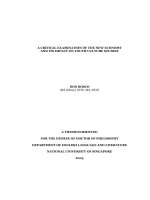 A critical examination of the new economy and its impact on youth culture studies